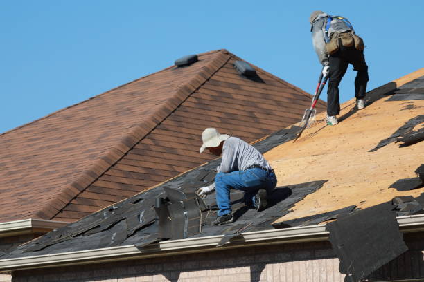 Best Roof Leak Repair  in Carlin, NV