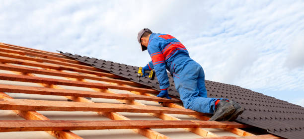 Best Asphalt Shingle Roofing  in Carlin, NV