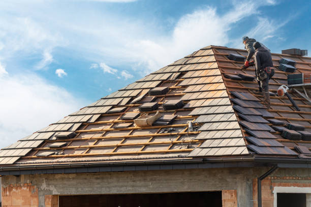 Best Roof Coating and Sealing  in Carlin, NV