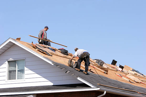 Best Asphalt Shingle Roofing  in Carlin, NV